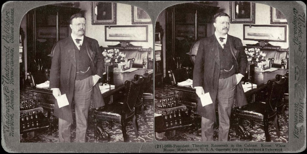 RooseveltCabinetRoom300crosseye