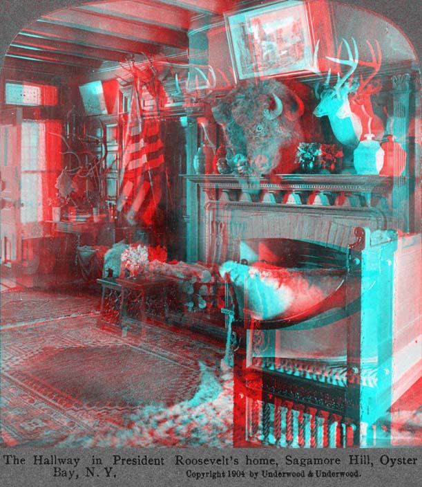 RooseveltsHome300anaglyph