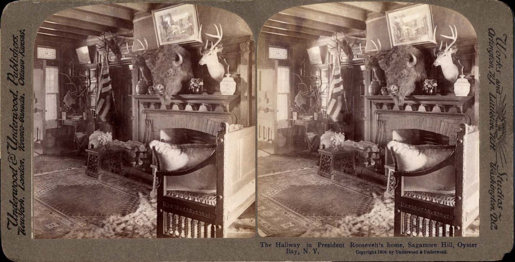 RooseveltsHome300crosseye