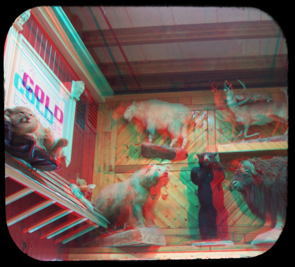 taxidermywall_a