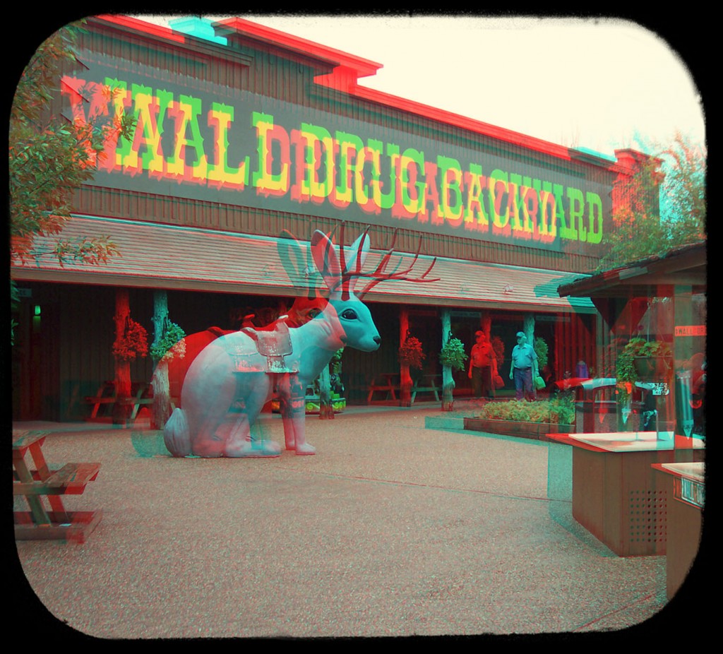 walldrugbackyardrabbit_a